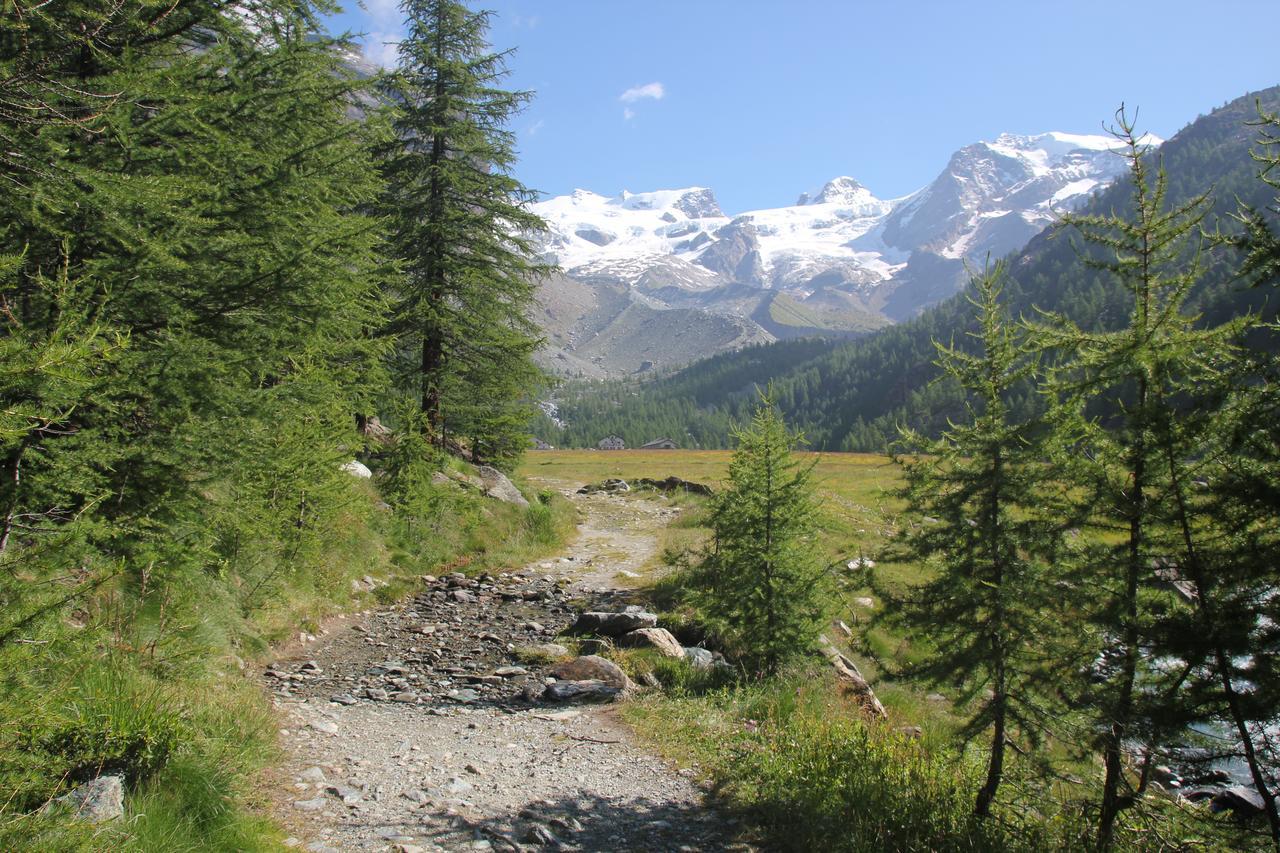 Maison Fosson Aparthotel Champoluc Kültér fotó